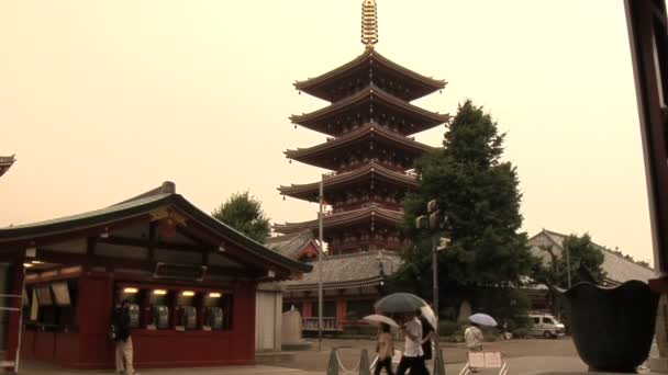 Five Storied Pagoda and Kannon do Temple in Tokyo Japan — 비디오
